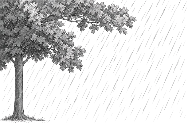 Measure rainfall after weather modification